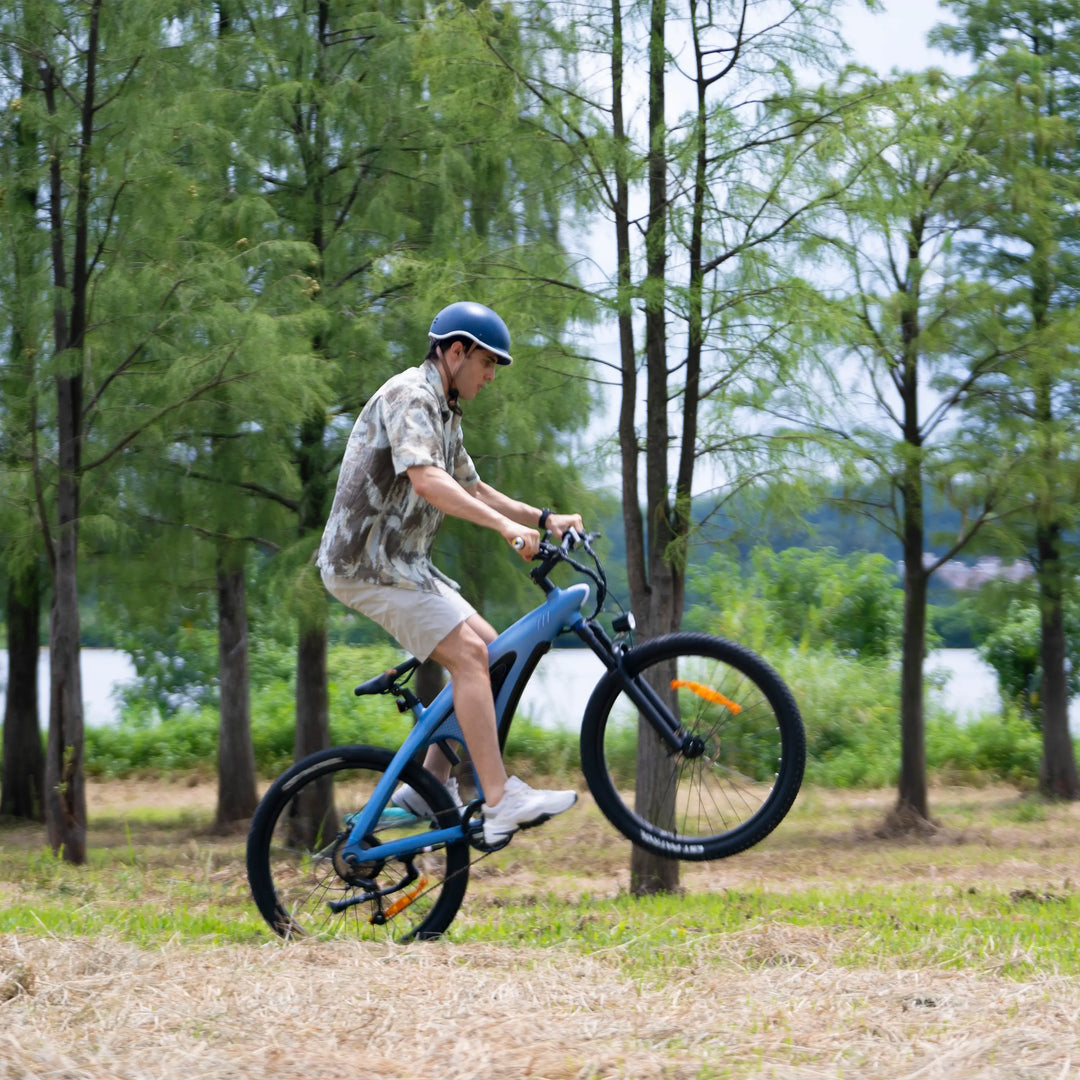 HappX Shark Mako🦈