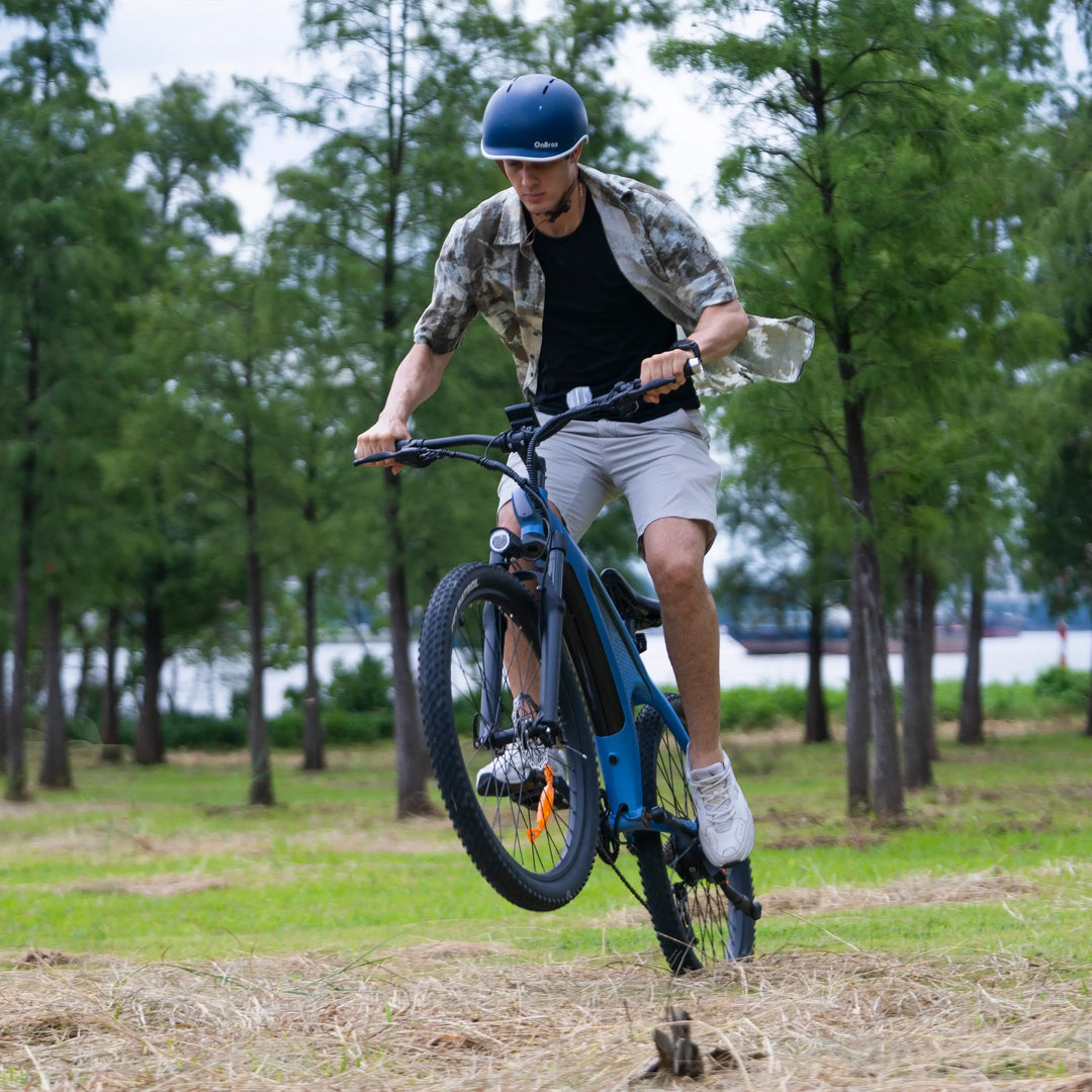 HappX Shark Mako🦈