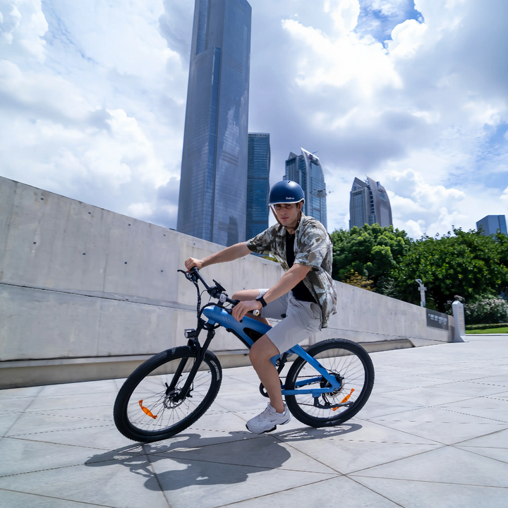 HappX Shark Mako🦈